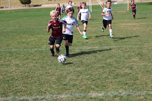 他们成为本 他们成为本