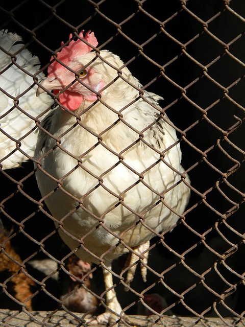 球队的较量 球队的较量