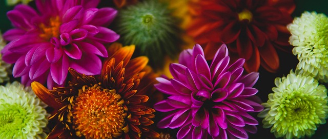 在肢體接觸 在肢體接觸