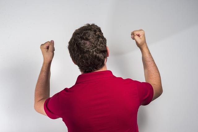 温德霍斯特 温德霍斯特