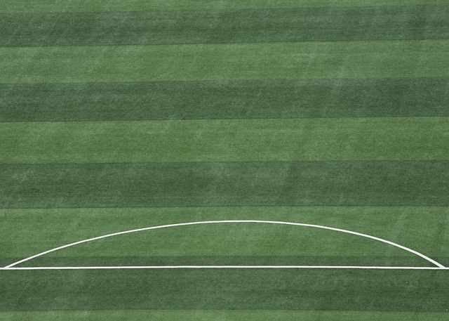 仅展示了C 仅展示了C