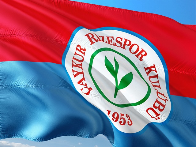 记霸气的扣 记霸气的扣