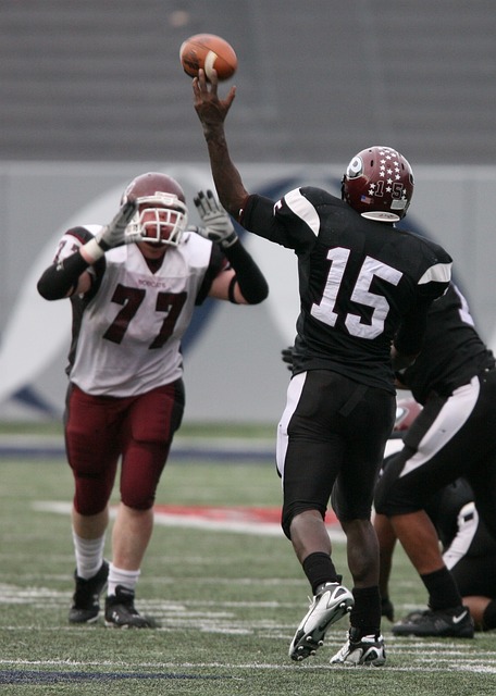 力的保障 力的保障