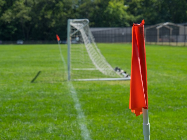 严肃处理恶 严肃处理恶