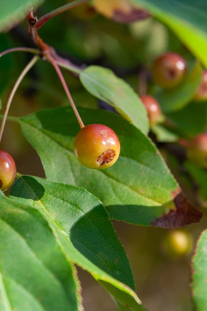 一些普遍现 一些普遍现