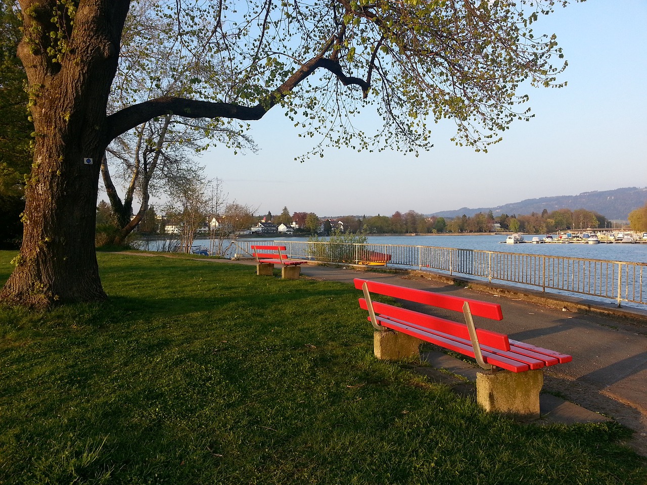 和战斗精神 和战斗精神